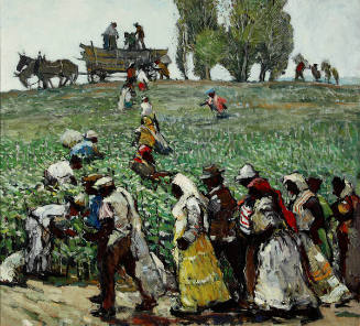 California Cotton Pickers