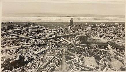 Phil Dike Walking Among the Driftwood