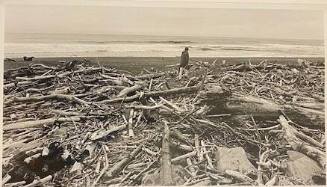 Phil Dike Walking Among the Driftwood