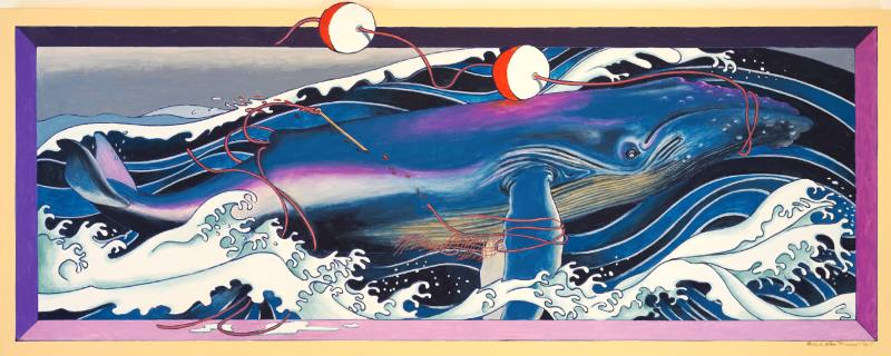 Humpback Whale