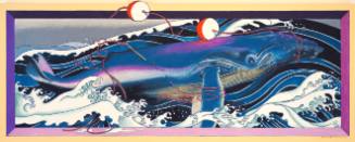 Humpback Whale