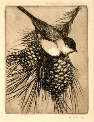 Bird and Pine Cones
