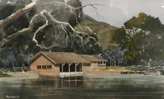 Untitled (Irvine Lake)