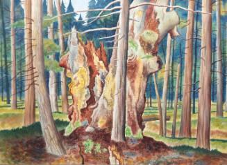 In the Forest