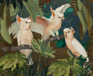 Leadbeater Cockatoos