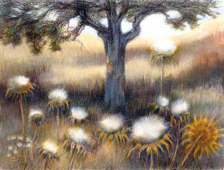 Thistles, California Hillside 